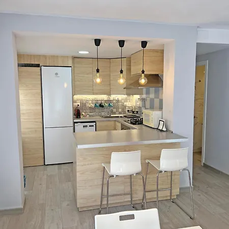 公寓 Estacion Tren Reformado 2 阿利坎特