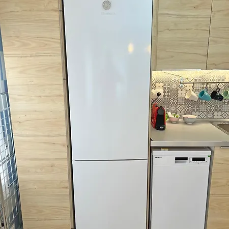 公寓 Estacion Tren Reformado 2 阿利坎特